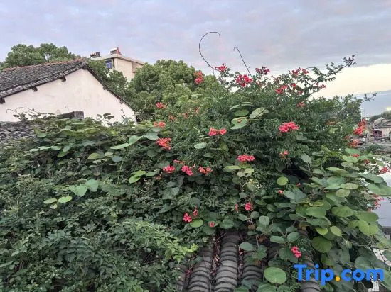 Xitang Chunye · Warm Dream Light Luxury Homestay