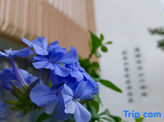 Wenxi Mountain Resort Hotel, Fanjing Mountain