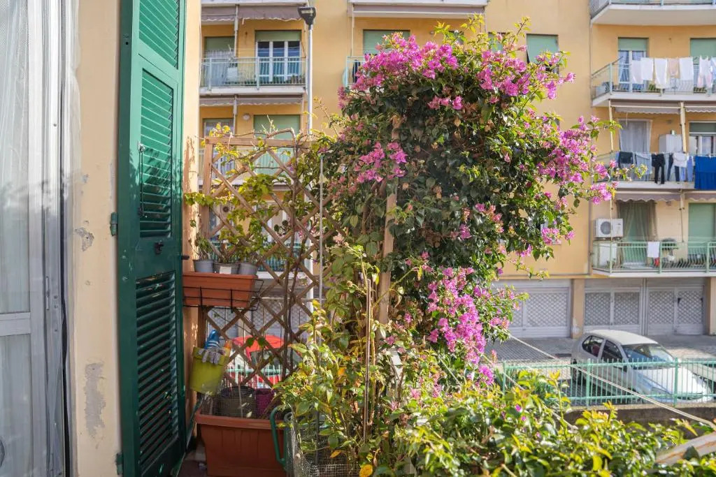 084 - Casa dei Limoni, cortile privato,5 minuti di auto dal mare