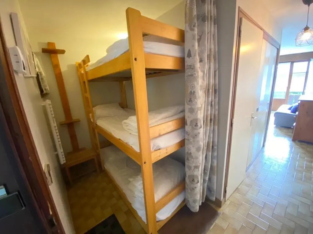 Appartement La Clusaz, 1 pièce, 4 personnes - FR-1-459-118