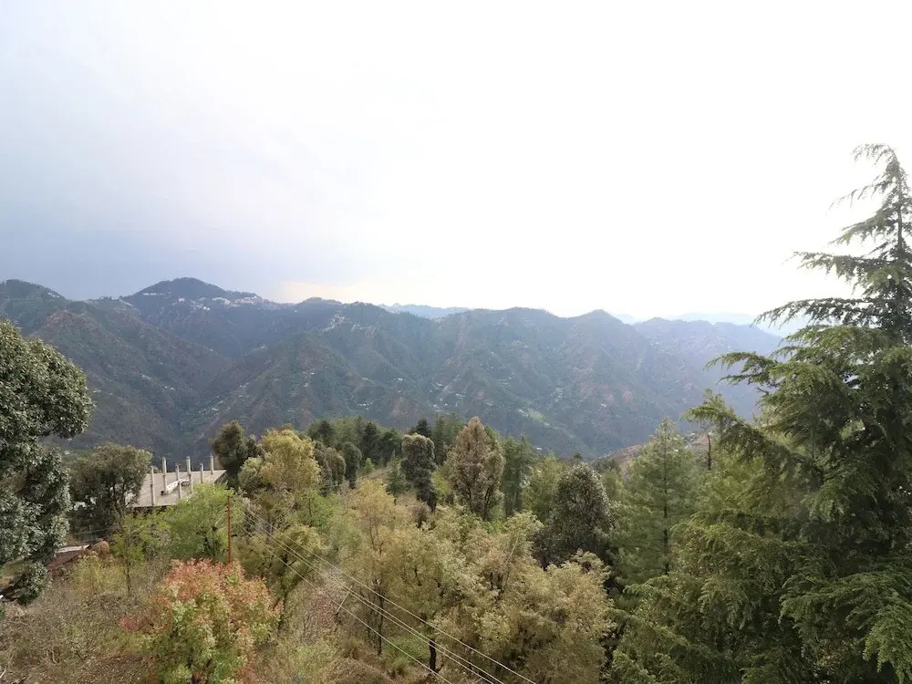 OYO 13316 Home Mountain View 1 BHK Mashobra