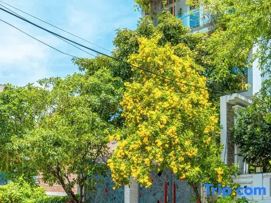ZEN Villa Garden in Thao Dien Ho Chi Minh