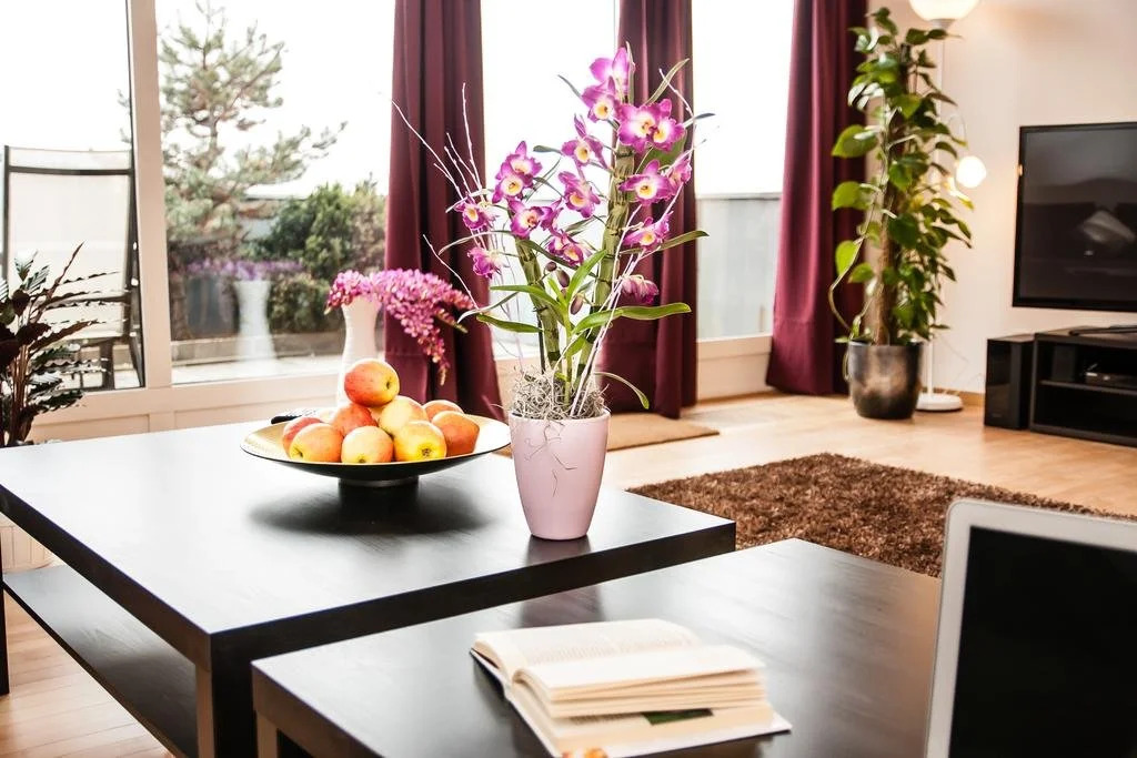 Wenceslas Square Loft