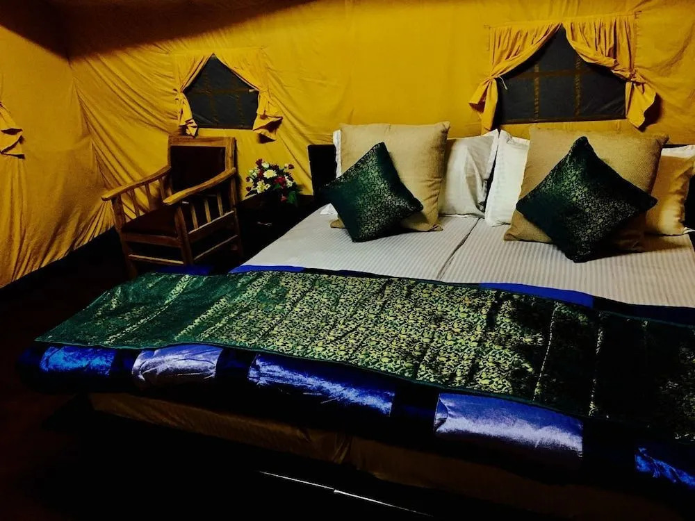 D Camp