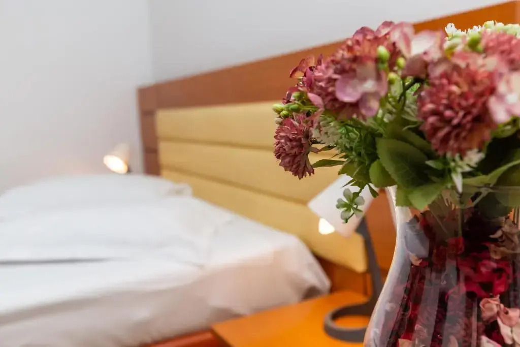 Hotel Sir Colentina