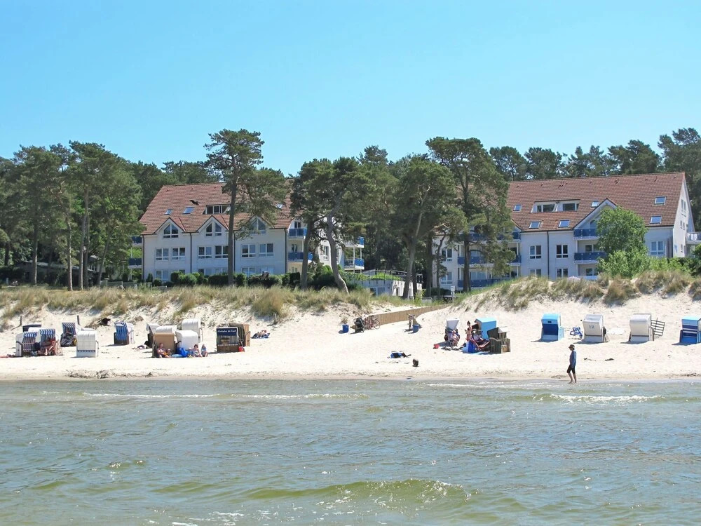 Blaumuschel Lubmin in Lubmin