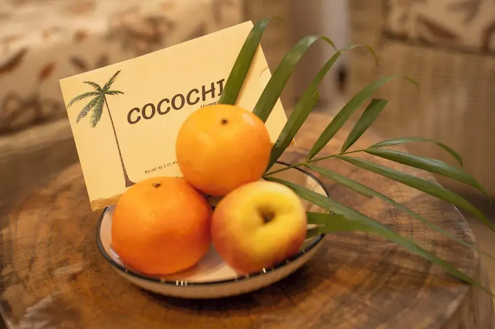 Homestay Đồ Sơn - Cocochi