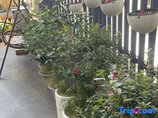 Ruilanting Homestay