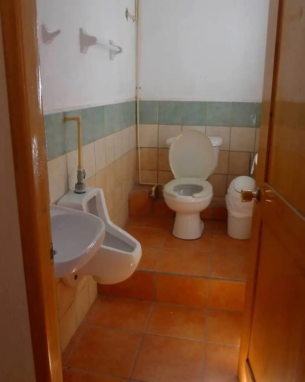 The Octopuss Garden Hostel