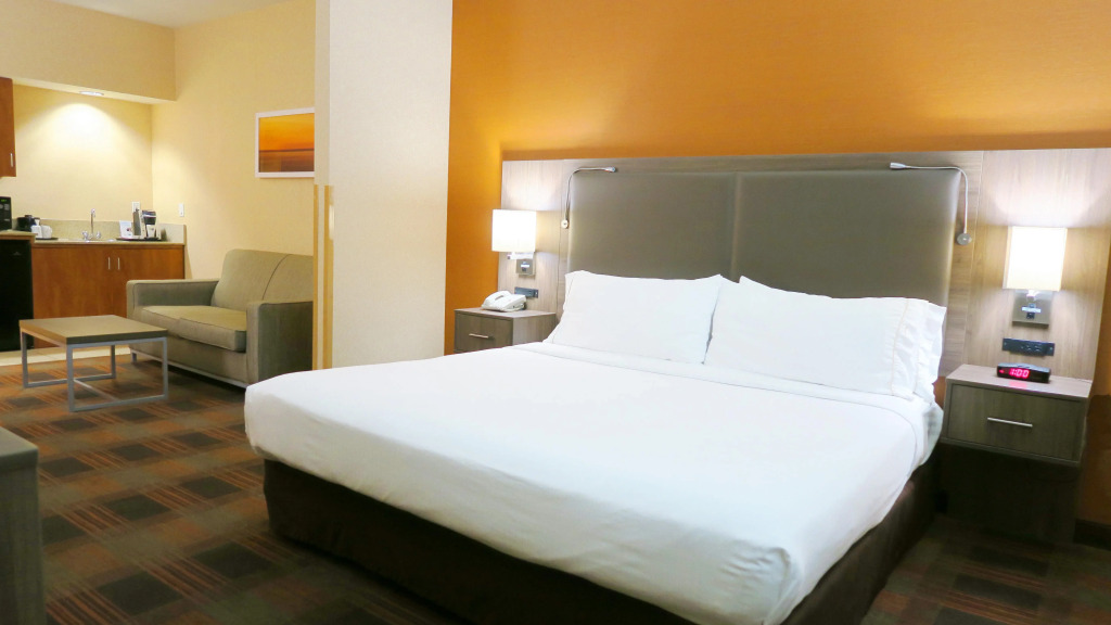 HOLIDAY INN EXPRESS & SUITES ELK GROVE CENTRAL - HWY 99 by IHG