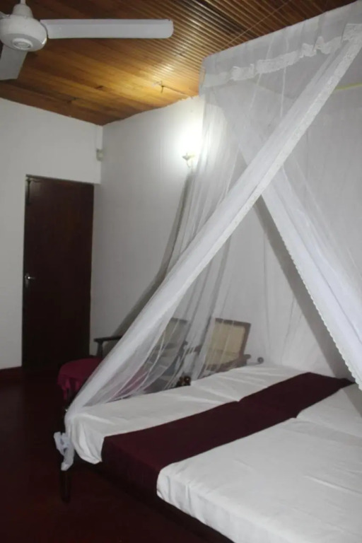The Best Hostel