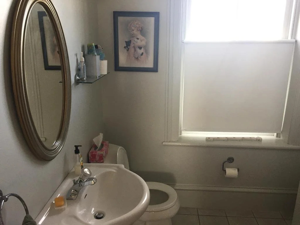 Spotted Dog B and B