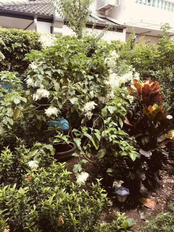 Maneeya Park Residence
