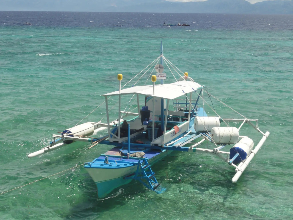 Sea Turtle House Moalboal