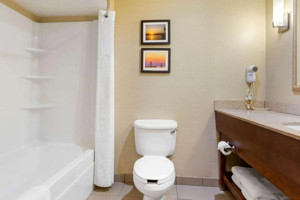 Comfort Suites South Haven near I-96