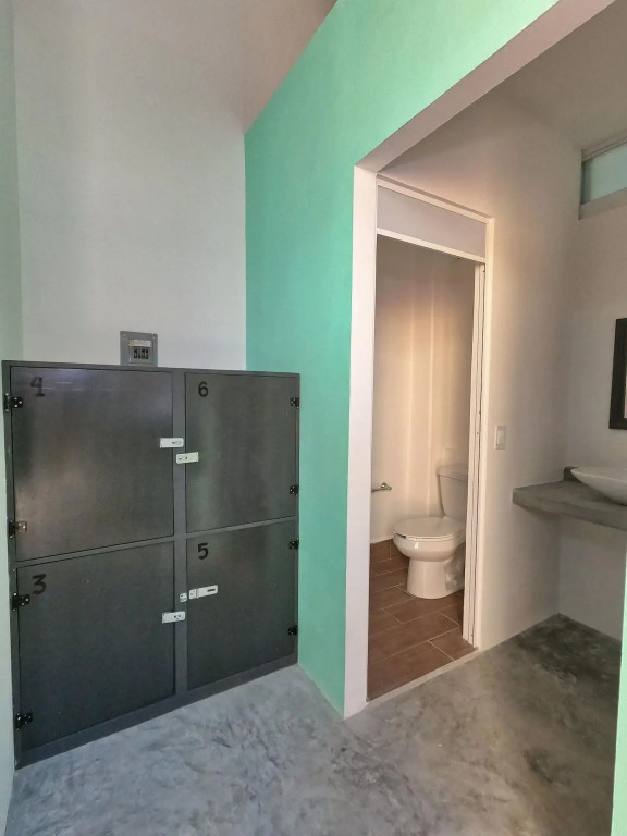 Paziflora Hostel -STARLINK