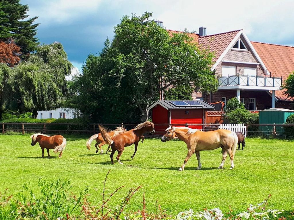 Reihenhäuser in Strackholt