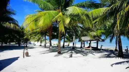 Eco dive resort Alycastre