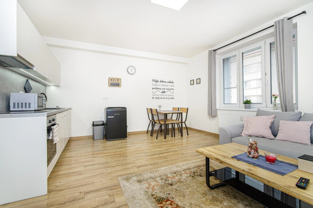 Lovely 1 Bedroom Aparment Fully Revovated