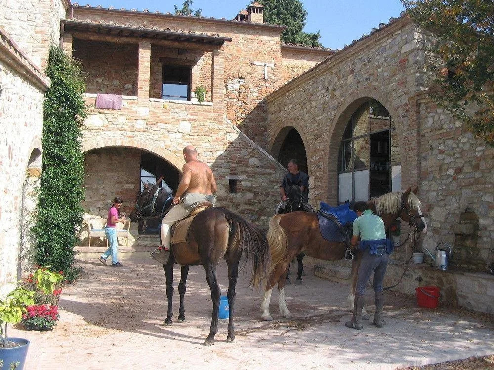 Podere Finerri The Lazy Olive Villa
