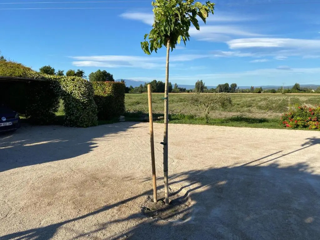 Location gîte campagne en Provence - Vaucluse