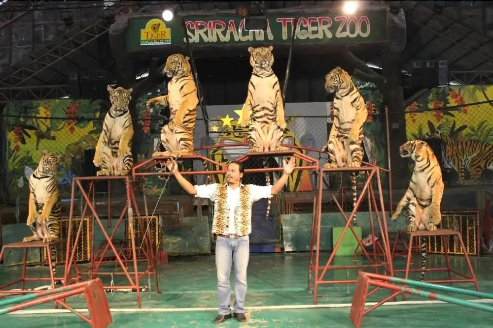 B-Black Hotel Chonburi