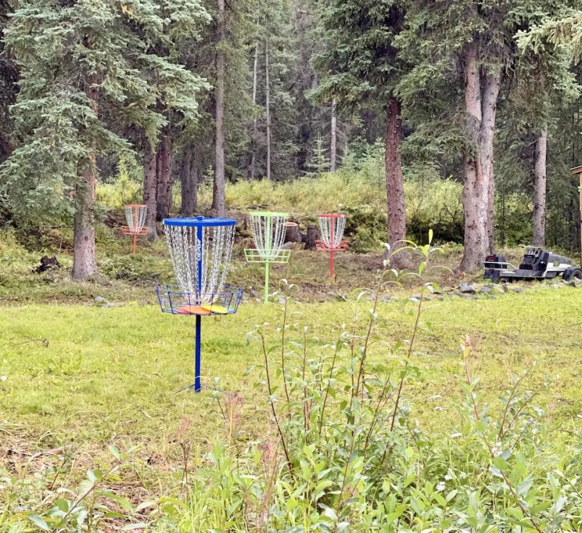 Carlo Creek Cabins