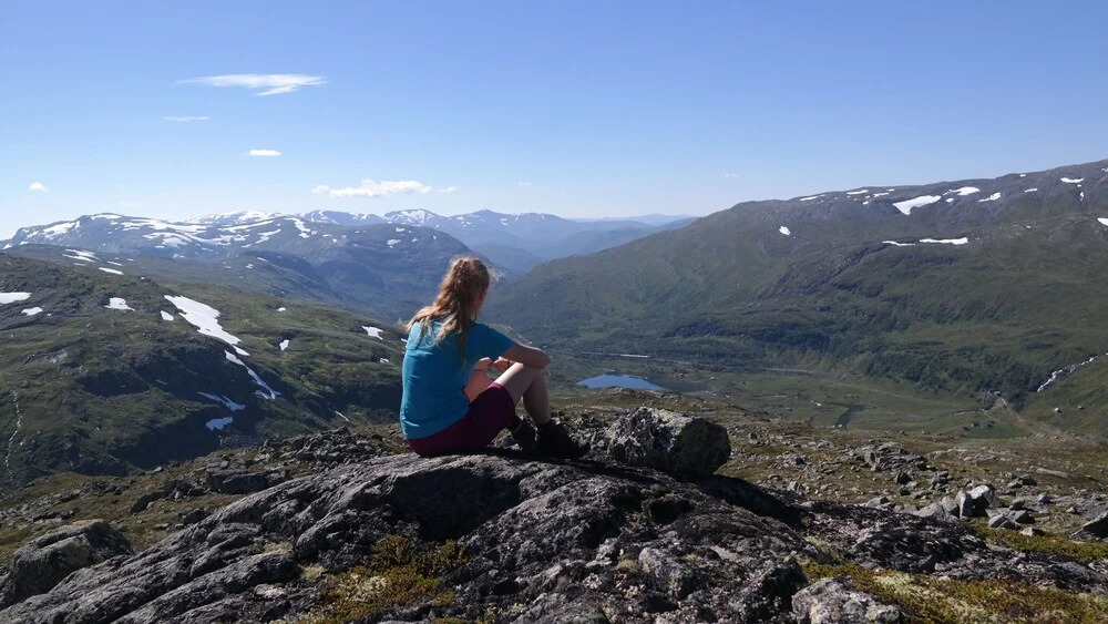 Upsete Fjellstove