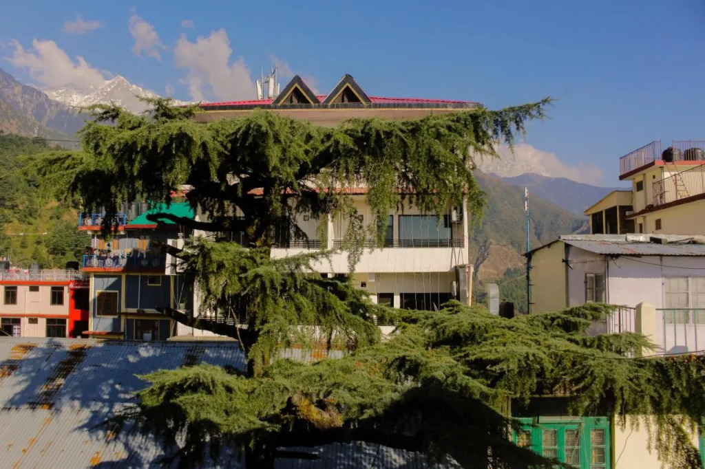Tripli Hotels M & Resort