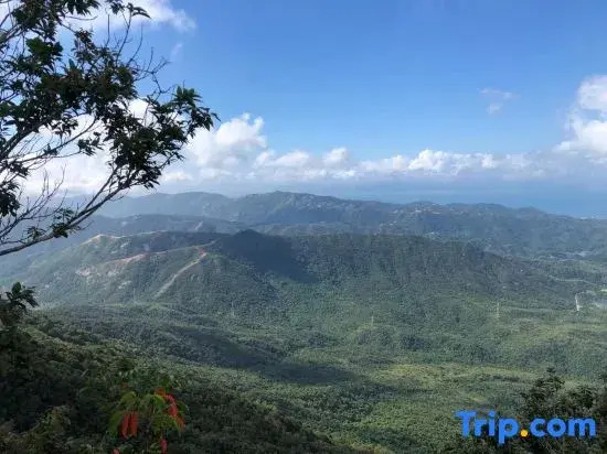 Shenzhen Xihe Nuanju Homestay (Yangmeikeng Judiaosha)
