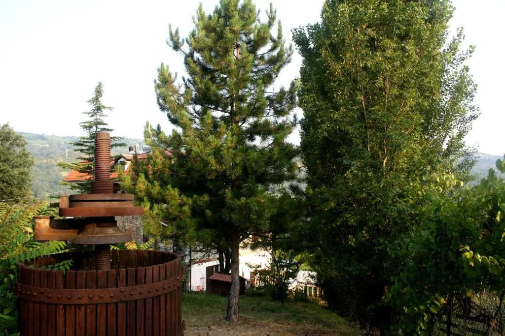 Cascina Ciosse B&B
