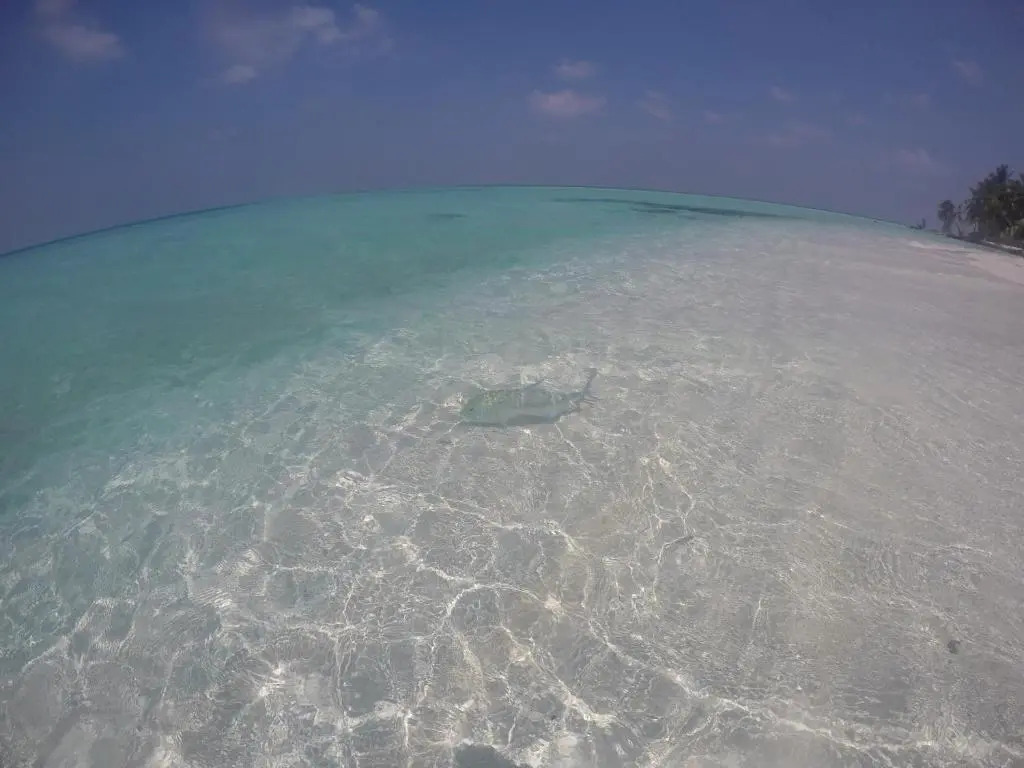 Origami Inn Himandhoo