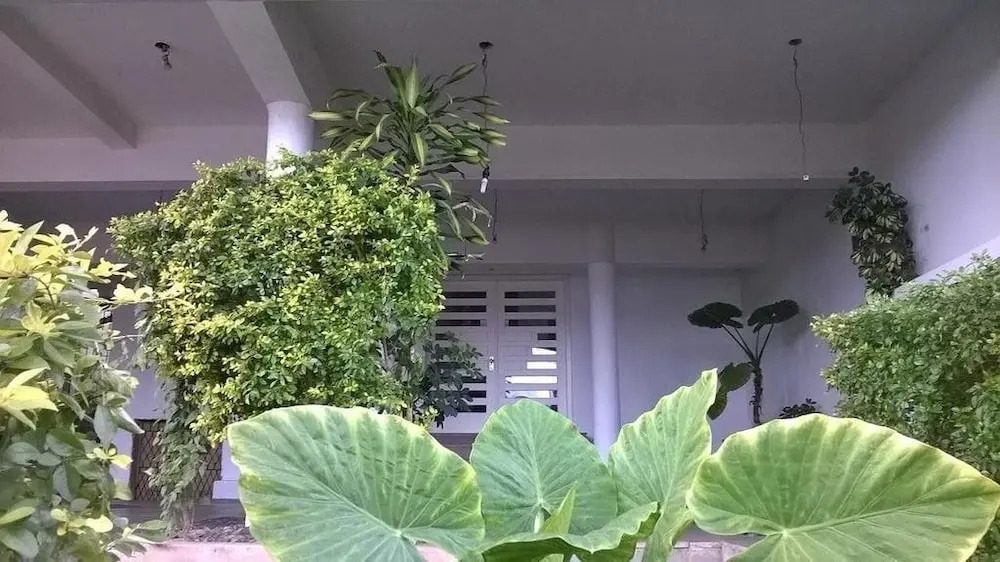 Hostel Casa Grande