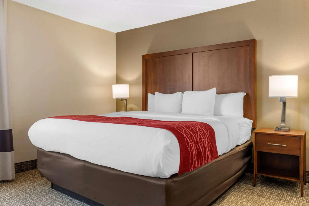 Comfort Inn University