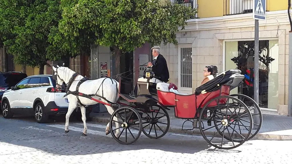 Sherryflat Paralejo 10 - Parking