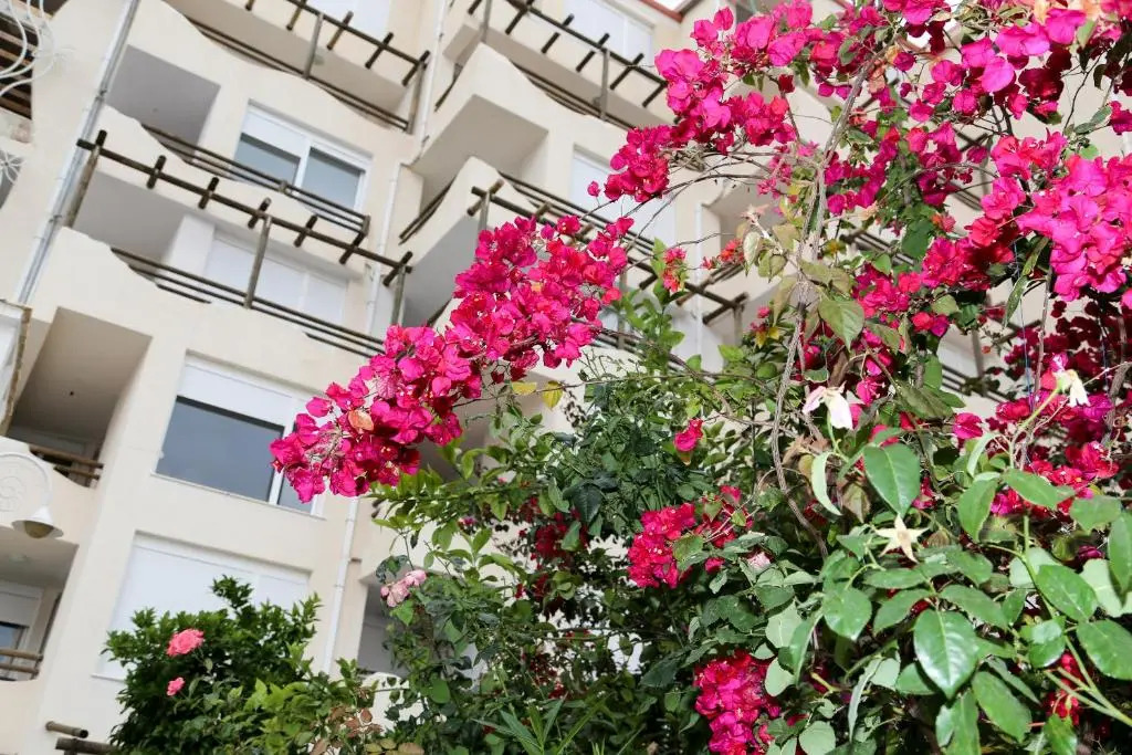 Bellavista Apartments Bougainville Bay