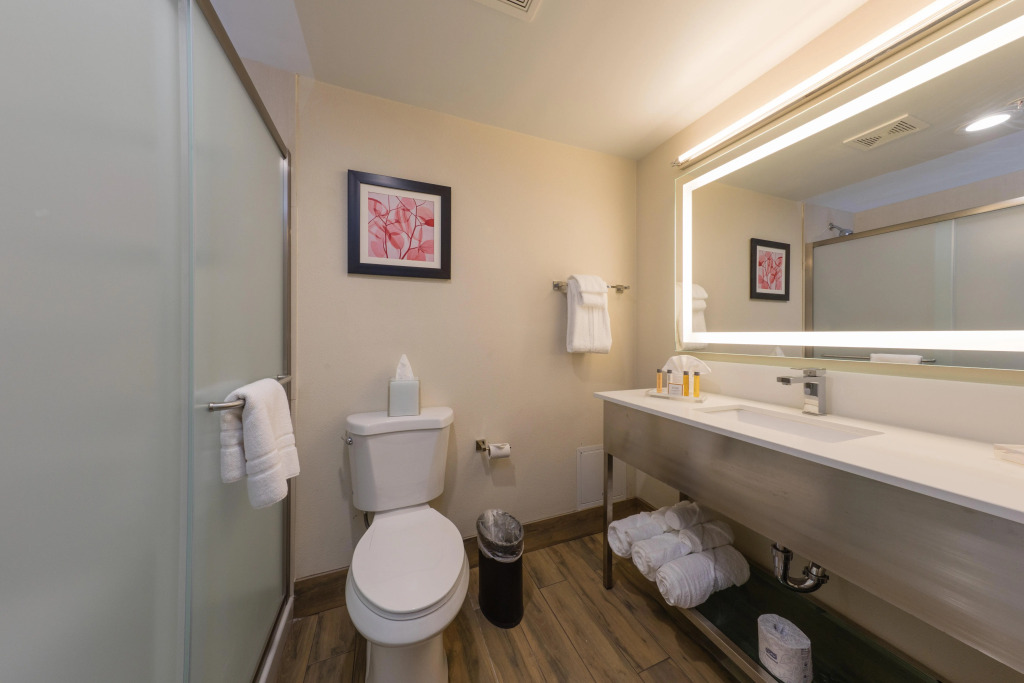 Holiday Inn Brookfield - Milwaukee by IHG