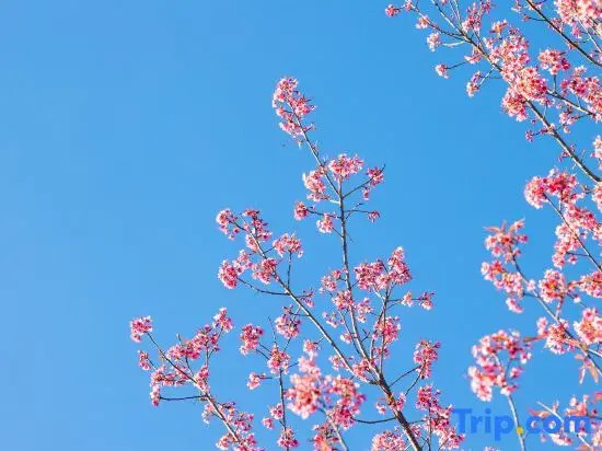 Tengchong Senya Golf Villa Resort