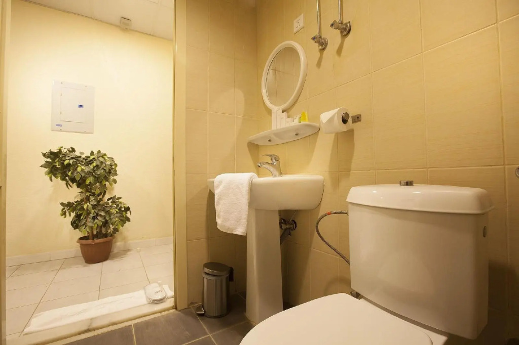 Lily Palms Serviced Apartments-Economy