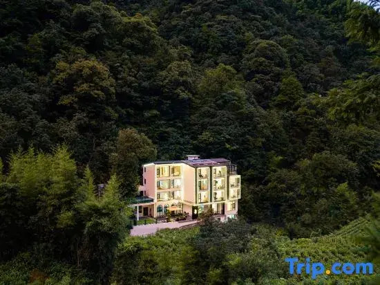 Qing ink Tea Garden pleasant color designer air infinity pool mountain luxury beauty night