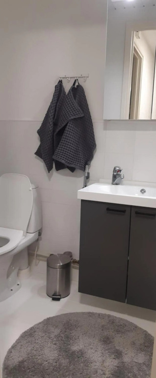 Tyylikäs yhden makuuhuoneen kohde luonnon lähellä