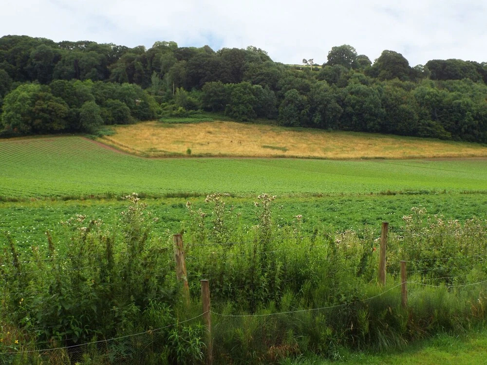 The Granary