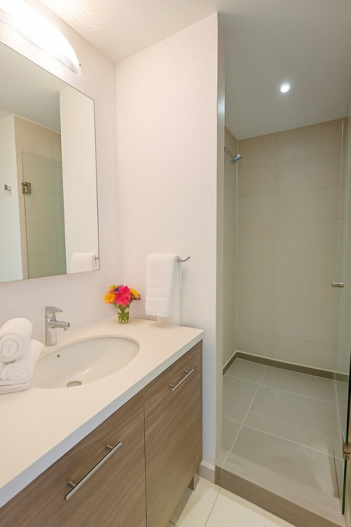 Panoramic Lofts La Silla