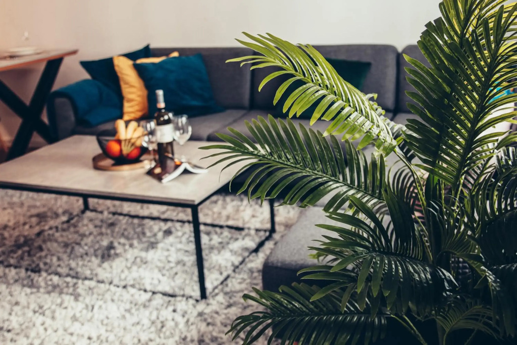Apartman Ana