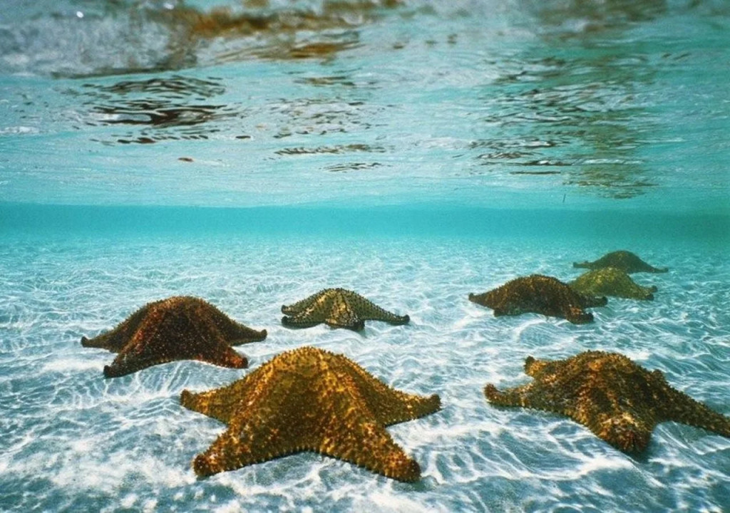 Coral Garden Resort