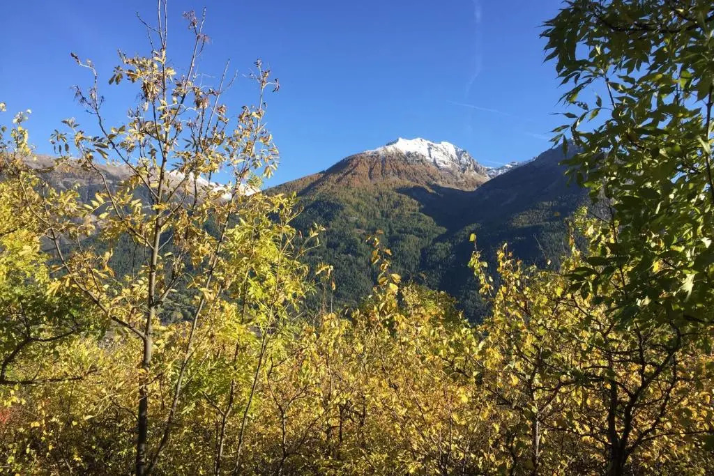 Serre Chevalier 1200