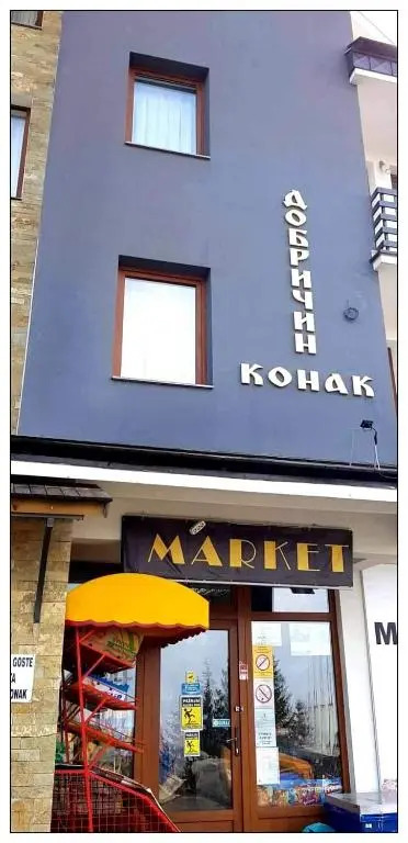 Dobricin konak, Apartman 202