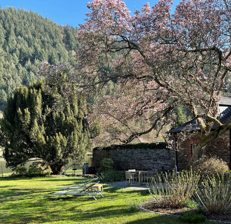 Ferienhaus Martinshof