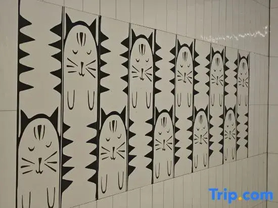 Tiancheng International Youth Hostel Urumqi