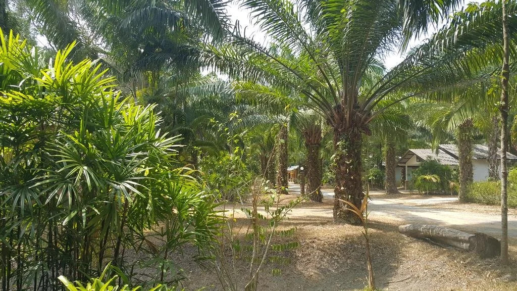 057 Resort